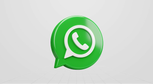 WhatsApp Business Chatbot